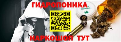 a pvp Ирбит