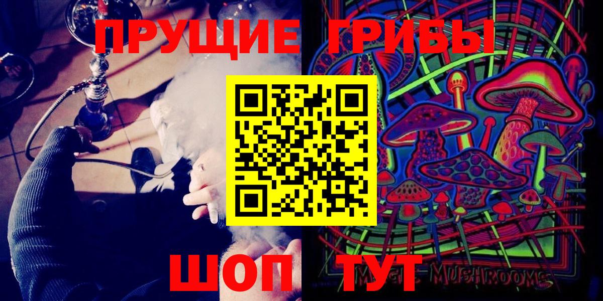 Псилоцибиновые грибы GOLDEN TEACHER Медногорск
